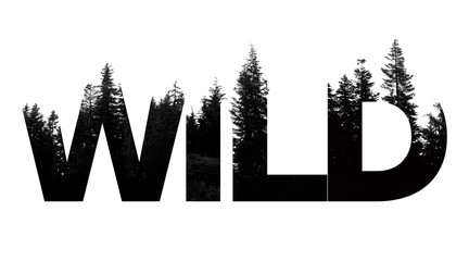 wild word made from outdoor wilderness treetop lettering