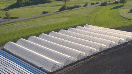 AERIAL: Greenery growing in modern hothouse and horticultural plantation