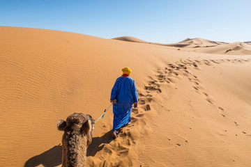 berber nomad with a camel in sahara desert, morocco
