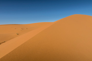 Wall Mural - sand dunes in sahara desert, morocco