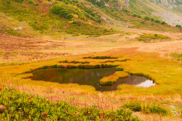 Wall Mural - tiny mountain lake with clear water in a mountain valley with autumn grass