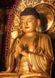 Buddha at Big Wild Goose Pagoda in Xian