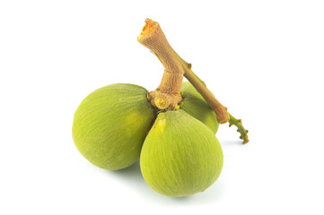 Santol isolated / fresh of santol tropical fruit isolated on white background - Green Santol or kra thon Thailand