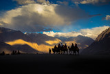 Fototapeta Młodzieżowe - Riding a camel in the desert at Leh, Ladakh, Jammu and Kashmir, India