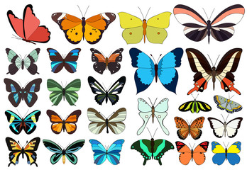 Wall Mural - vector, isolated, set of beautiful multicolored butterflies