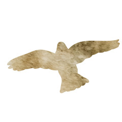 Wall Mural - isolated brown watercolor flying dove silhouette