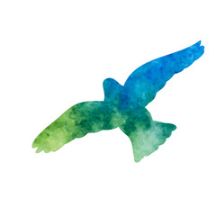 Wall Mural - vector isolated blue watercolor flying dove silhouette