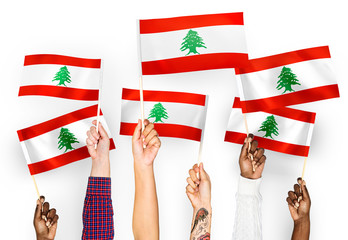 Wall Mural - Hands waving flags of Lebanon