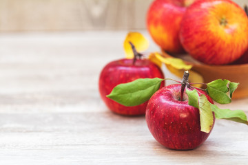 Wall Mural - Autumn harvest red apples fruits on a light gray wooden table background.