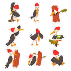 Sticker - Cute woodpecker set, funny bird cartoon character in different situations vector Illustration on a white background