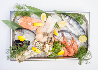 Wall Mural - Seafood on white background, top view