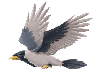 cartoon bird - crow flying on white background - illustration for children