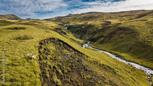 Cuadros en Lienzo Drone view of an icelandic landscape with two sheep posing for the camera