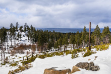 Cloudy Spring Day With Snow Covering The Sierra Mountains, Lake Tahoe In The Background; Van Sickle Bi-State Park; California And Nevada