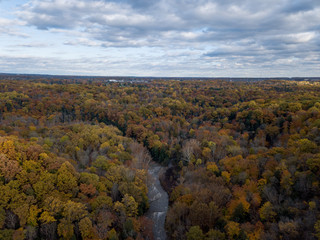 Fall Forest in Midwest Aerial Photography 