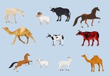 Fototapeta Konie - farm animals vector set