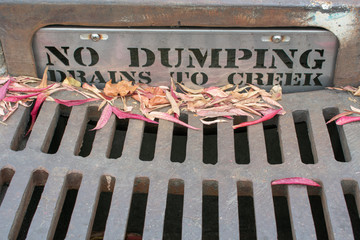 No Dumping drains to creek - warning sign on steel plate guards drain inlet near grating storm drain. Red and yellow fall leaves on street storm drain