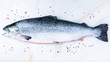 whole fresh raw big salmon fish with seasoning, salt, pepper on white marble table, top view, long banner format