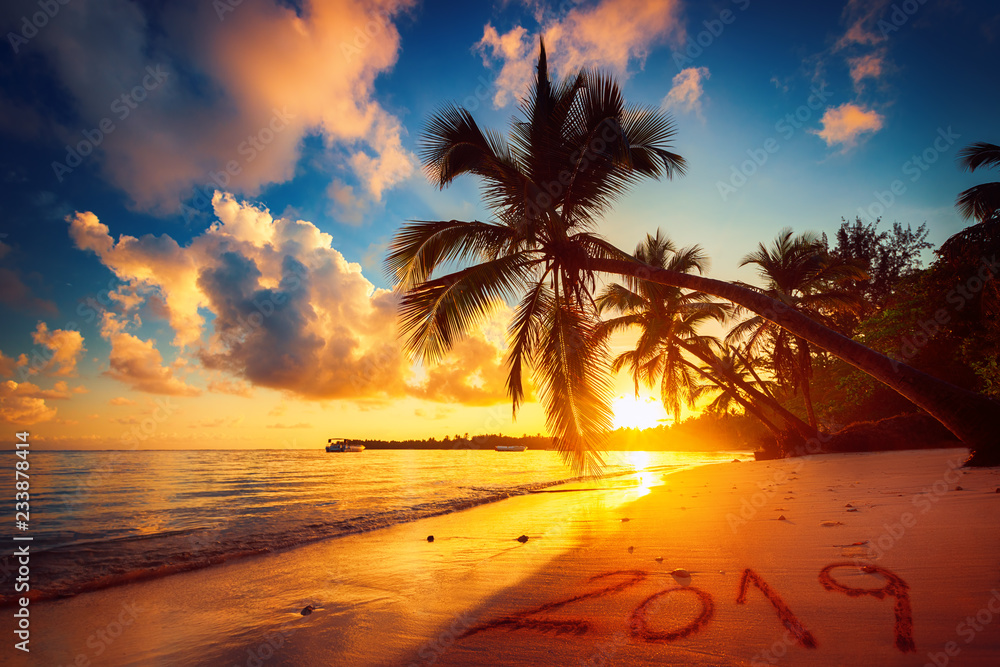 Happy New Year 2019. Sunrise over tropical beach in Punta Cana, Dominican Republic - obrazy, fototapety, plakaty 