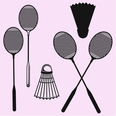 Badminton racket and shuttlecock 