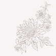 Vector dahlia flower. Autumn flowers bouquet.  Element for design. Hand-drawn contour lines and strokes.