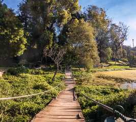 Poster - Sausalito Lagoon Park - Vina del Mar, Chile