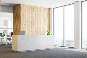 Wall Mural - Concrete reception in panoramic office