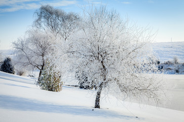 Sticker - Winter scene in Central Kentucky