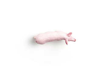 Plastic toy figurine of a pig on a white background. The symbol of the New Year in 2019