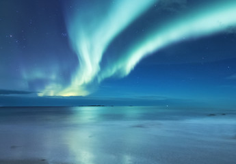 Wall Mural - aurora borealis on the lofoten islands, norway. green northern lights above ocean. night sky with po