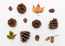 Autumn Colored Leaves, Cones And Acorns Pattern On White Background. Flat Lay.