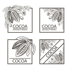 Wall Mural - collection of frames with cocoa beans, branch and leaves