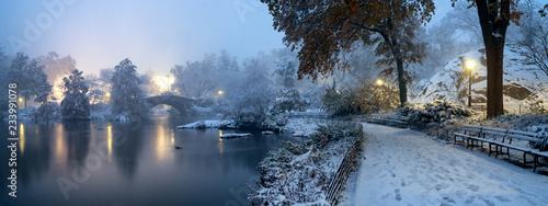 Cuadros en Lienzo Gapstow bridge during winter, Central Park New York City. USA