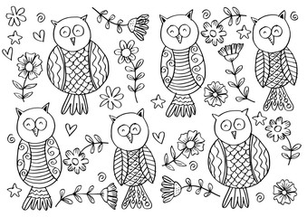 Owl pattern background.