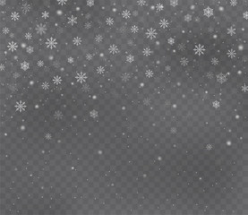 Wall Mural - Christmas snow on dark transparent background. Snowflakes with transparent effect. Snowfall.