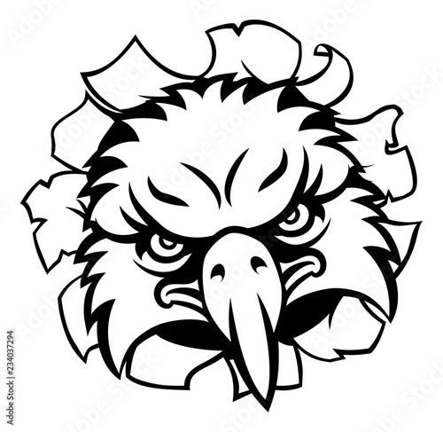 An eagle bird sports mascot...