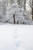 Fototapeta Na ścianę - Fußspuren im Schnee in Winterlandschaft