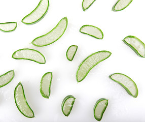 Poster - Aloe Vera Plant Isolated On White Background