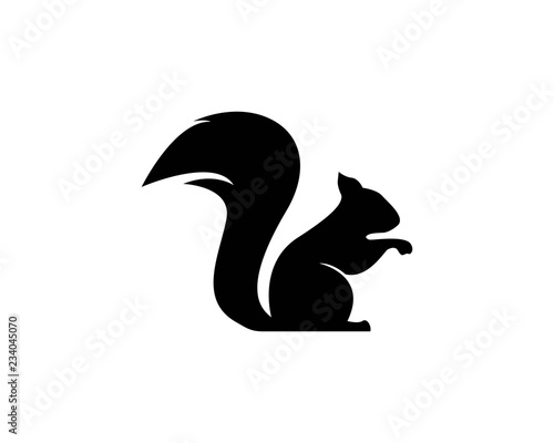 Fotomural squirrel logo vector icon illustration design