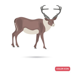 Wall Mural - Deer color flat icon for web and mobile design