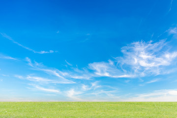 Wall Mural - Blue sky and clouds with green meadow trees. Beautiful sky on summer season.