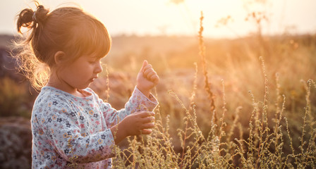 little cute girl in a field at sunset