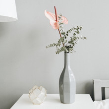 Floral Bouquet Of Pink Anthurium Flower And Eucalyptus Branch In Bottle On Table At Pastel Wall. Minimal Modern Trendy Interior Design Concept.