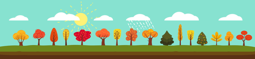 Simple landscape Set of autumn trees, different types, modern trend design, cute style, vector, illustration, isolated