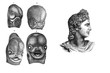 Vintage illustration, human fetus face development from 3d week to 3d month, comparison with Apollo god classical profile