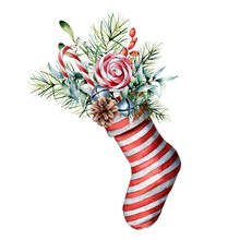 Watercolor Christmas Sock With Winter Floral Decor And Candies. Hand Painted Holiday Symbol With Fir Branches, Cone, Eucalyptus Leaves, Berries, Mistletoe Isolated On White Background For Design. 