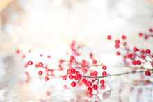 Christmas Red Berries On A Branch