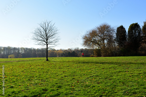 Botanischer Garten In Koln Rodenkirchen Buy This Stock Photo And