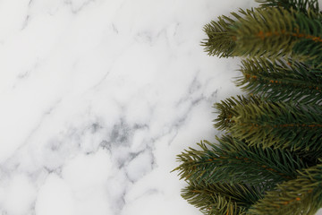 Wall Mural - Christmas fir tree branches on a marble background