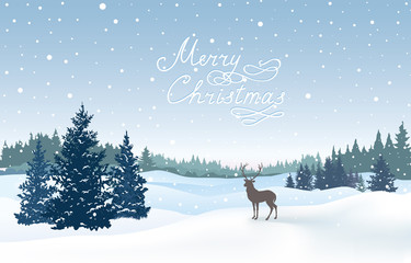 Christmas snowy background. Snow winter landscape. Merry Christmas greeting card